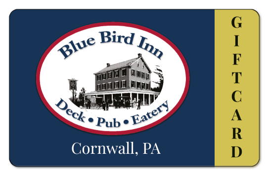 Blue Bird Inn logo over blue background